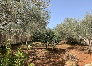 Foto 42 - Villa Via Calaporro
 
18, Terrasini - foto 40