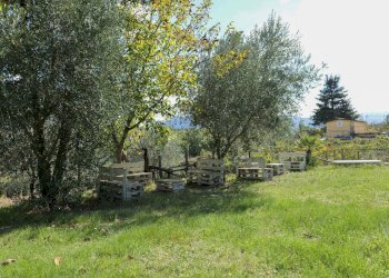 Foto 77 - Casa indipendente contrada ponteromito
 
66, Montemarano - foto 77