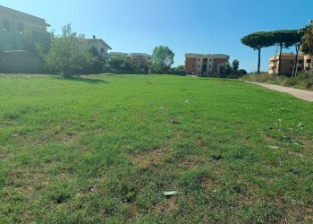 Giardino - Terreno edificabile Via Del Cavallo Morto, Nettuno - foto 9