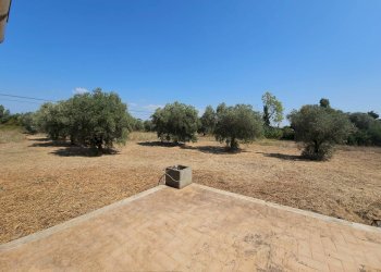 Terrazza - Villa Via Pantanelle, Aprilia - photo 22