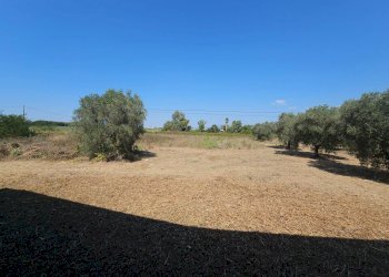 Giardino - Villa Via Pantanelle, Aprilia - photo 26