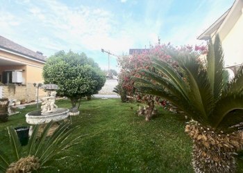 Giardino - Casa indipendente Mar Nero, Pomezia - foto 26