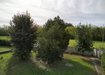 Giardino - Villa via del soldato, Colfelice - foto 26