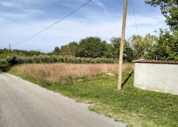 Giardino - Villa via del soldato, Colfelice - foto 40