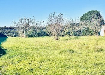 Giardino - Terreno edificabile via serio, Aprilia - foto 6