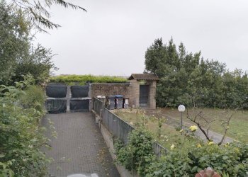 Giardino - Villa Via Luigi Chiarini, Roma - foto 9