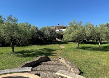 Giardino - Villa via delle Magnolie, Pomezia - foto 27