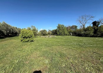 Giardino - Villa via delle Magnolie, Pomezia - foto 31