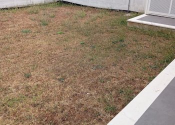 Giardino - Semi-detached house Viale dei giornalisti, Anzio - photo 6