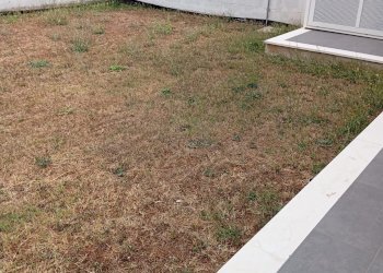 Giardino - Semi-detached house Viale dei giornalisti, Anzio - photo 7