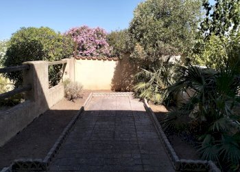 Giardino posteriore - Villa via Arezzo, Ardea - foto 8