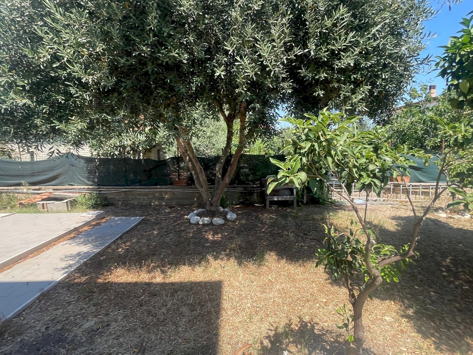 Giardino - Apartment Via Mar Ligure, Pomezia - photo 3