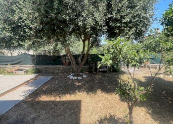 Giardino - Appartamento Via Mar Ligure, Pomezia - foto 3