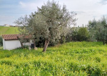 giardino - Casa indipendente via montagnanello, Ardea - foto 4