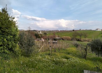 vista - Casa indipendente via montagnanello, Ardea - foto 17