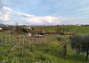 vista - Casa indipendente via montagnanello, Ardea - foto 19