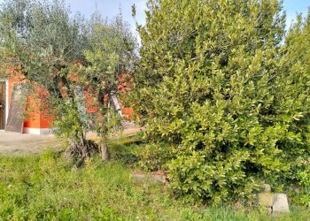 vista - Casa indipendente via montagnanello, Ardea - foto 21