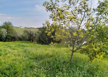vista - Casa indipendente via montagnanello, Ardea - foto 23
