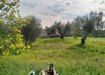 terreno - Casa indipendente via montagnanello, Ardea - foto 24