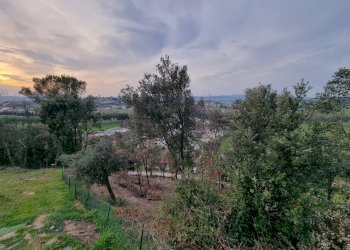 Foto 14 - Villa Torgiano - foto 14