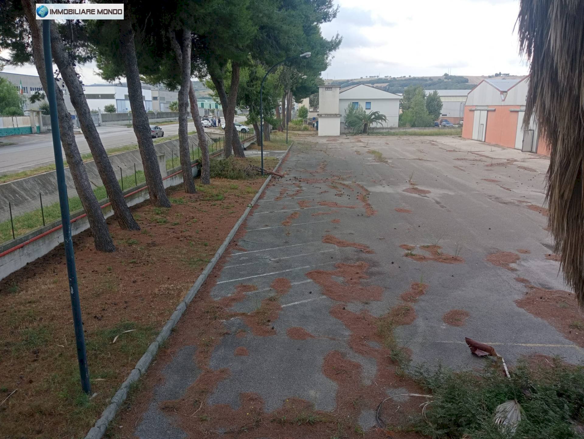 Foto 3 - Capannone Termoli - foto 3