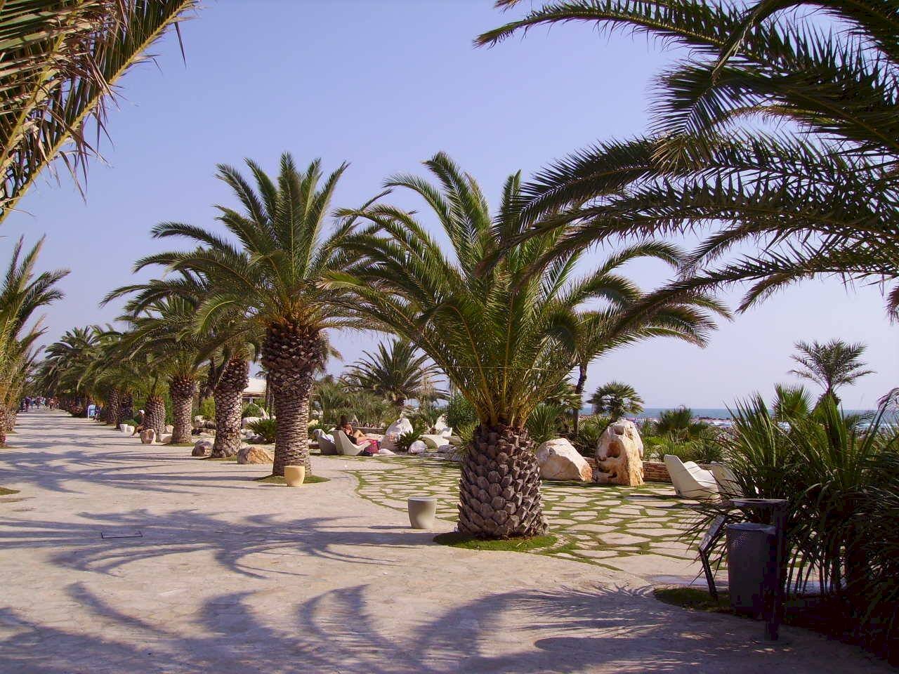 Foto 1 - One-room apartment Viale Secondo Moretti, San Benedetto del Tronto - photo 1