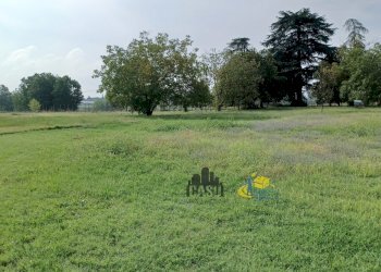 Il terreno - Casale via remitaggio 2, Sala Baganza - photo 14