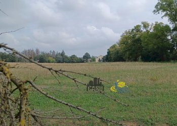 Il terreno - Casale via remitaggio 2, Sala Baganza - photo 15