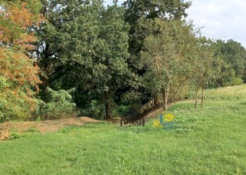 Il podere verso il bosco - Casale via remitaggio 2, Sala Baganza - photo 24