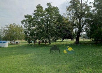 Terreno fronte abitazioni - Casale via remitaggio 2, Sala Baganza - photo 28