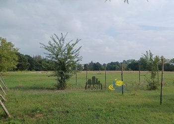 Il Podere - Casale via remitaggio 2, Sala Baganza - photo 30