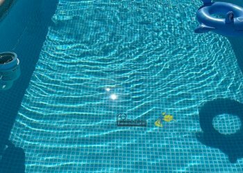 IMG-20241121-WA0004.jpg - Trilocale Strada Argini Parma 323, Parma - foto 18