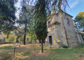 WhatsApp Image 2025-10-20 at 09.03.21 (1).jpeg - Terratetto - Terracielo VIA CAVAILLON 7, Langhirano - foto 2