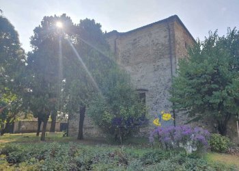 WhatsApp Image 2025-10-20 at 09.03.19 (2).jpeg - Terratetto - Terracielo VIA CAVAILLON 7, Langhirano - foto 6