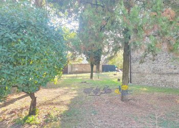 WhatsApp Image 2025-10-20 at 09.03.21.jpeg - Terratetto - Terracielo VIA CAVAILLON 7, Langhirano - foto 7