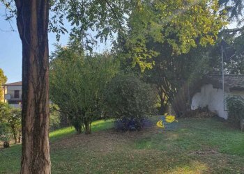 WhatsApp Image 2025-10-20 at 09.03.20 (1).jpeg - Terratetto - Terracielo VIA CAVAILLON 7, Langhirano - foto 9