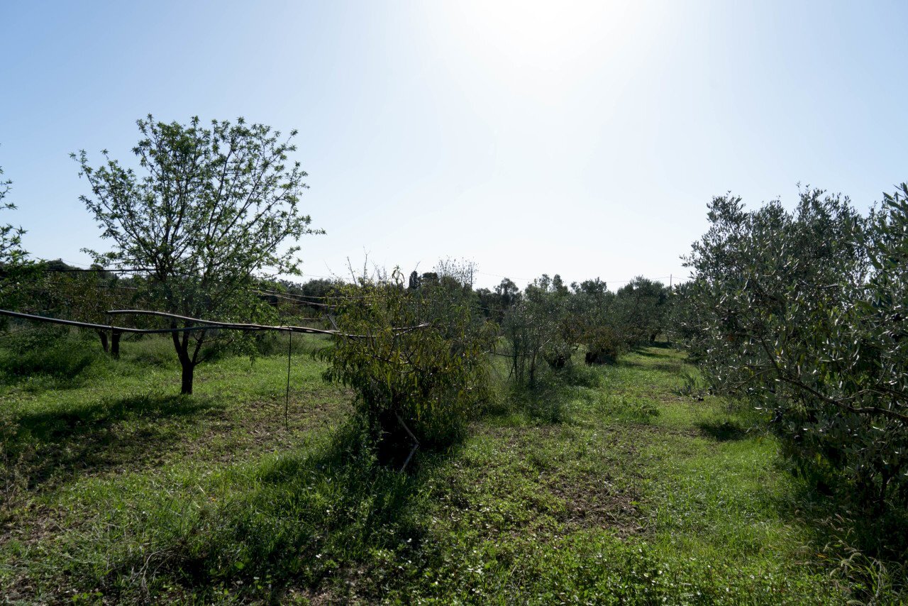 DSC09214.jpg - Villa San Sperate - photo 2