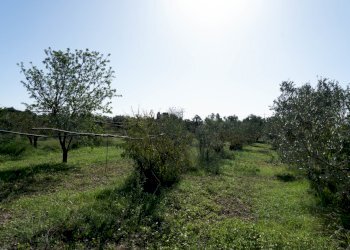 DSC09214.jpg - Villa San Sperate - foto 2