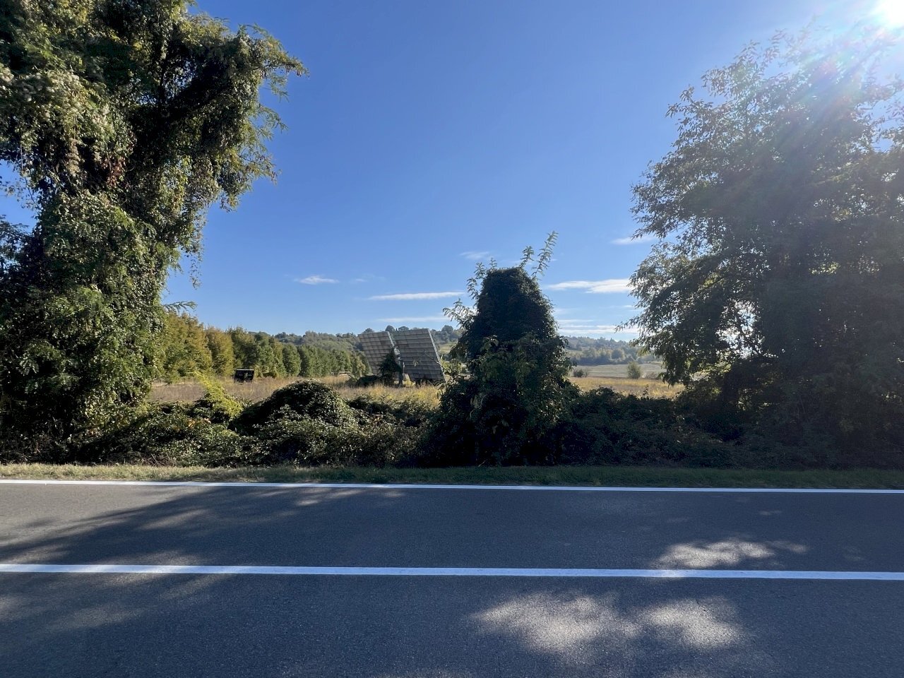 IMG_1191.jpeg - Terreno edificabile Via Cassola, Valsamoggia - foto 2