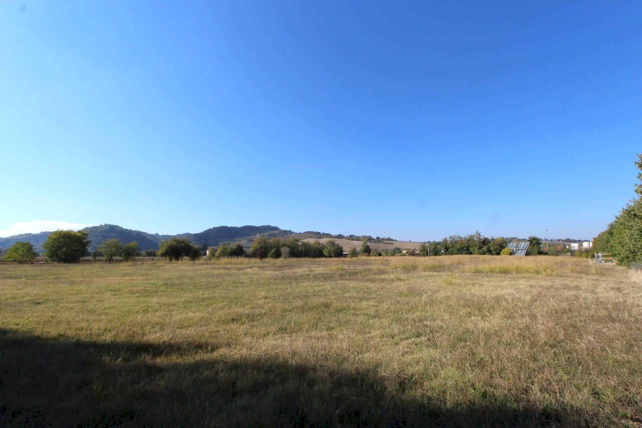 IMG_7818.jpg - Terreno edificabile Via Cassola, Valsamoggia - foto 3