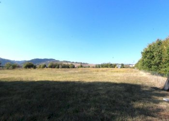 IMG_7814.jpg - Terreno edificabile Via Cassola, Valsamoggia - foto 5