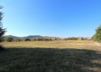 IMG_7813.jpg - Terreno edificabile Via Cassola, Valsamoggia - foto 6