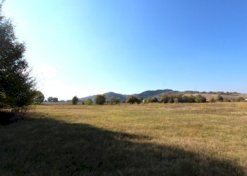 IMG_7817.jpg - Terreno edificabile Via Cassola, Valsamoggia - foto 9