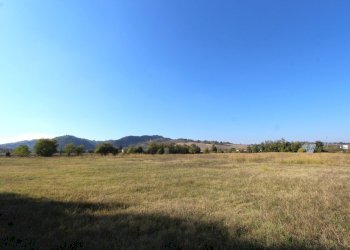 IMG_7819.jpg - Terreno edificabile Via Cassola, Valsamoggia - foto 10