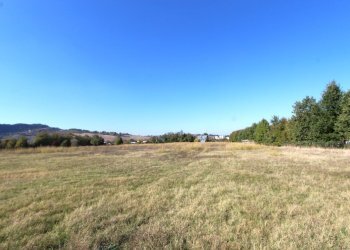 IMG_7820.jpg - Terreno edificabile Via Cassola, Valsamoggia - foto 11