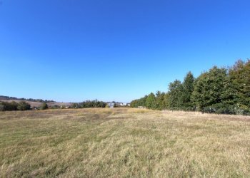 IMG_7822.jpg - Terreno edificabile Via Cassola, Valsamoggia - foto 13