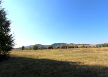 IMG_7824.jpg - Terreno edificabile Via Cassola, Valsamoggia - foto 14