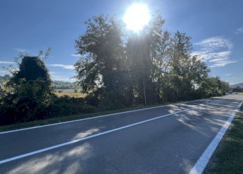 IMG_1192.jpeg - Terreno edificabile Via Cassola, Valsamoggia - foto 16