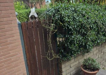 esterni - Trilocale Via Gide, Roma - foto 28