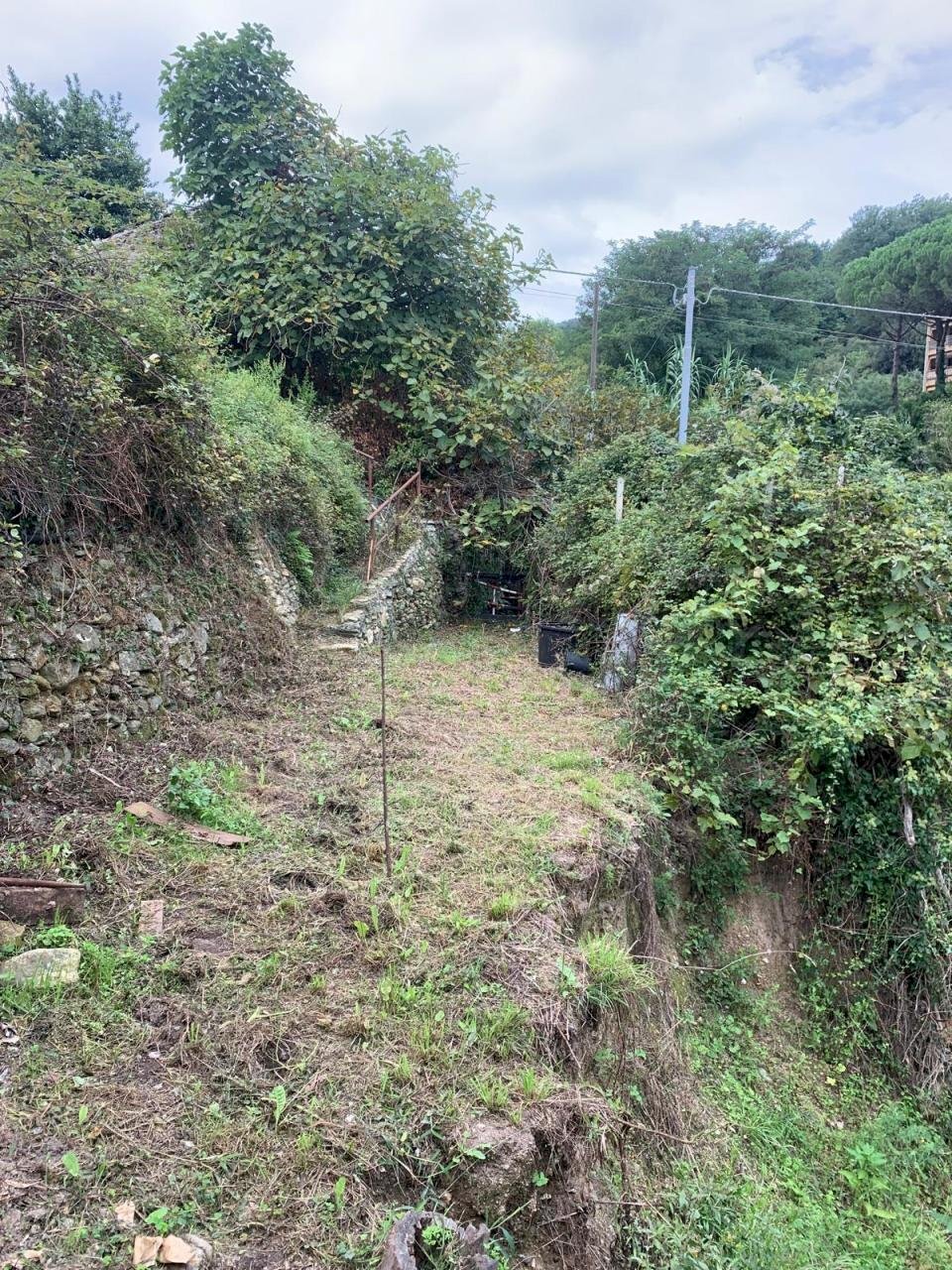 WhatsApp Image 2025-09-10 at 15.24.51.jpeg - Agricultural land Via Elvio Pertinace 19, Vado Ligure - photo 2